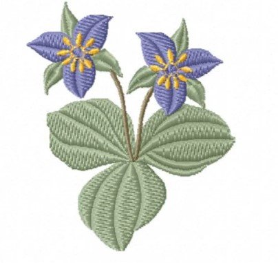 RMG424b Trillium