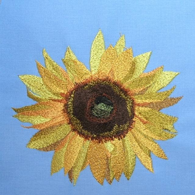 BFC0425 Sunflowers