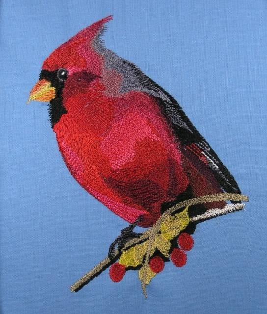 BFC0433 Cardinals