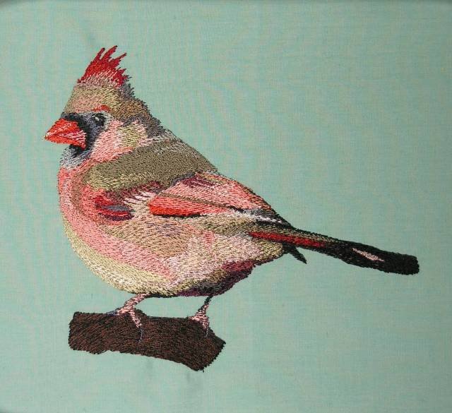 BFC0433 Cardinals