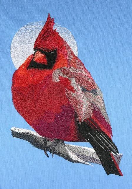 BFC0433 Cardinals