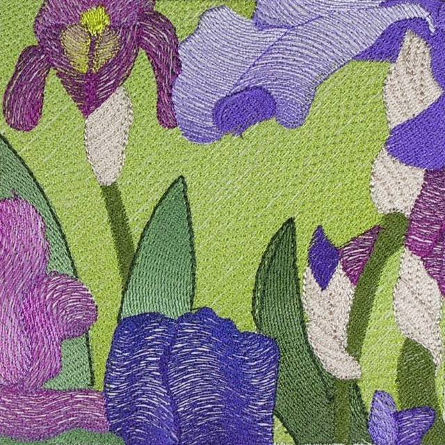 BFC0434 Windows - Iris Fields