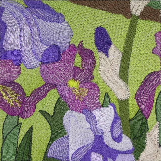 BFC0434 Windows - Iris Fields