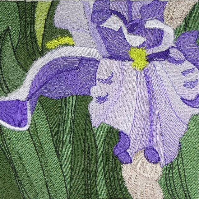 BFC0434 Windows - Iris Fields