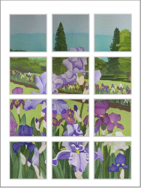 BFC0434 Windows - Iris Fields