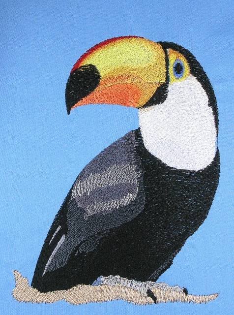 BFC0438 Tropical Birds