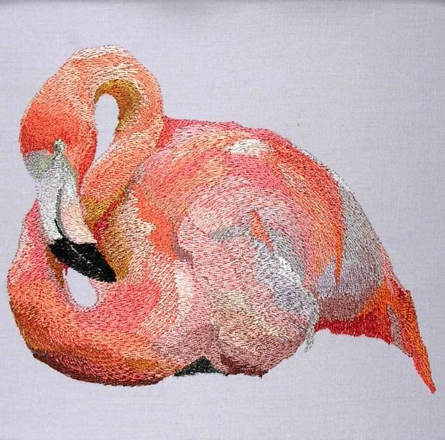 BFC0438 Tropical Birds