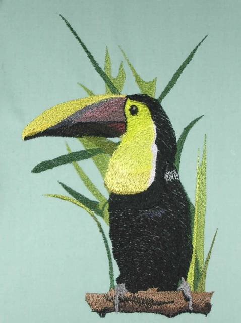 BFC0438 Tropical Birds
