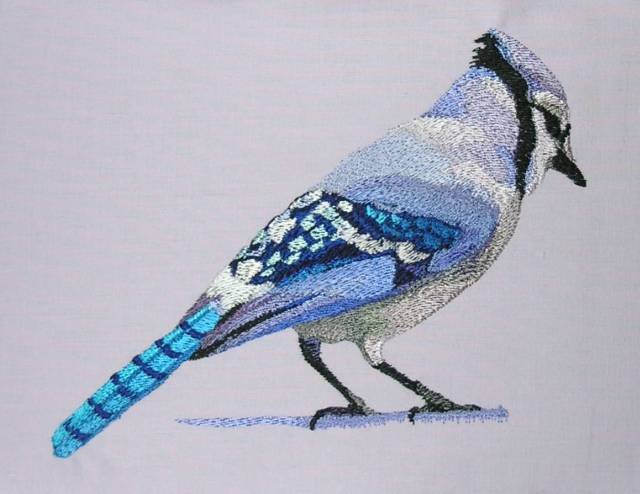 BFC0443 Bluejays