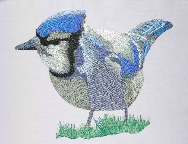 BFC0443 Bluejays