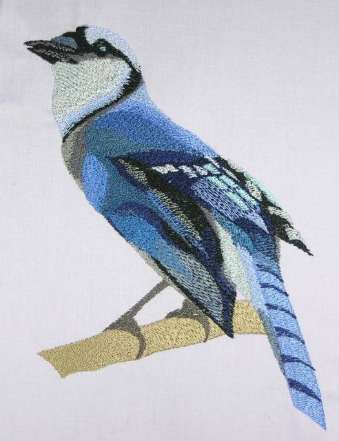 BFC0443 Bluejays