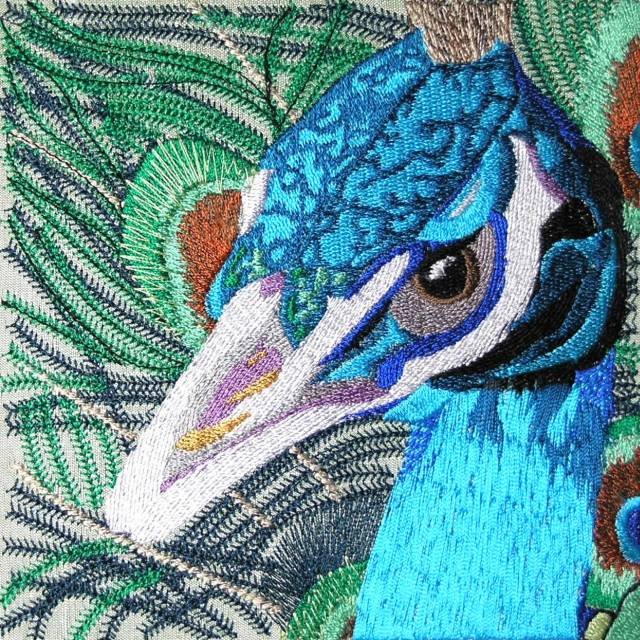 BFC0461 Stained Glass- The Peacock