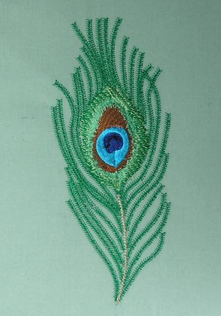 BFC0462 Peacock Feathers