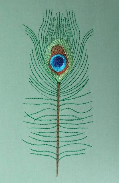 BFC0462 Peacock Feathers