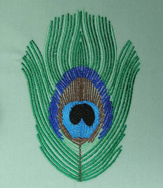 BFC0462 Peacock Feathers