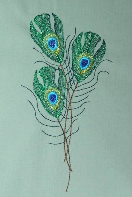 BFC0462 Peacock Feathers