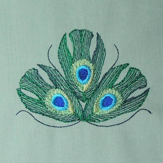 BFC0462 Peacock Feathers