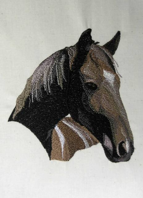 BFC0463 Portraits-Horses