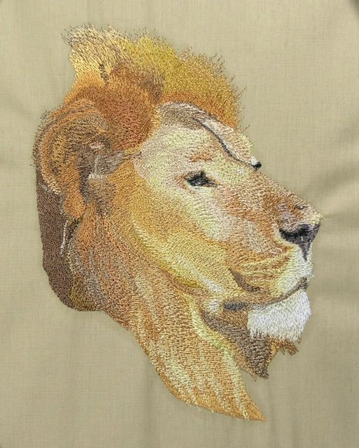 BFC0468 Animals of Africa