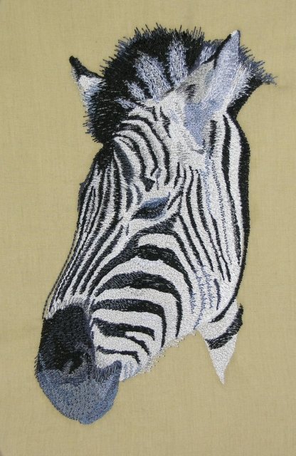 BFC0468 Animals of Africa