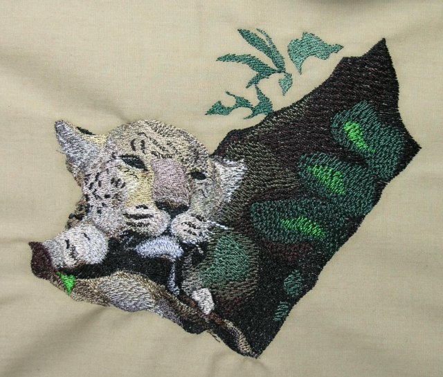 BFC0468 Animals of Africa