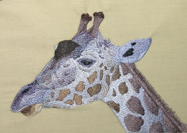 BFC0468 Animals of Africa