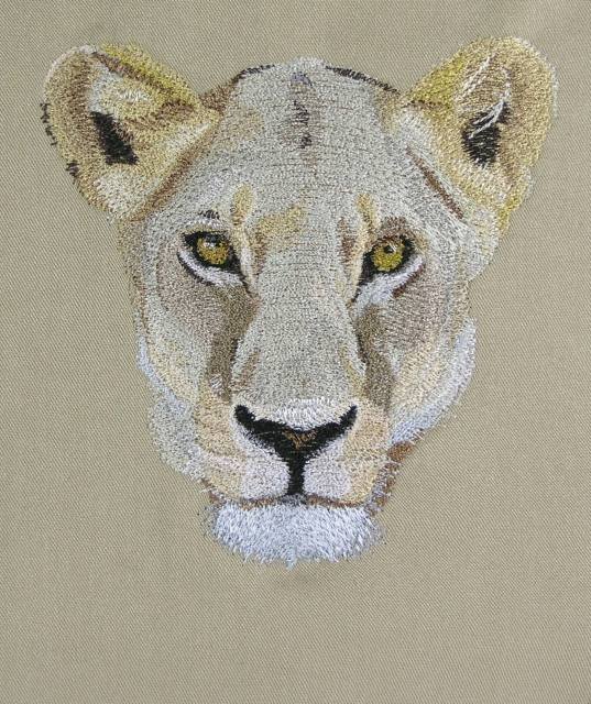 BFC0468 Animals of Africa