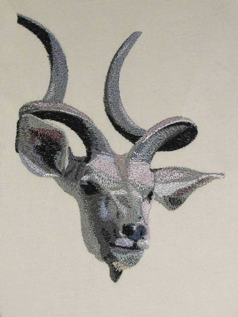 BFC0468 Animals of Africa
