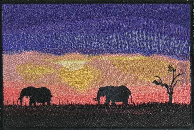 BFC0470 African Nights