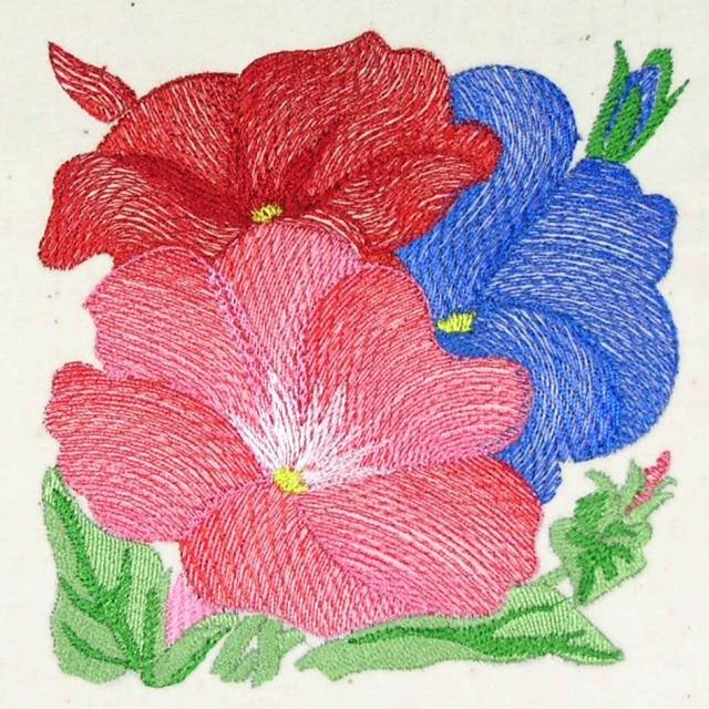 BFC0484 Seed Packet Flower Pack