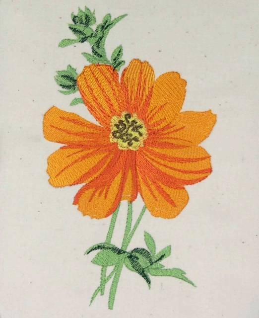 BFC0484 Seed Packet Flower Pack