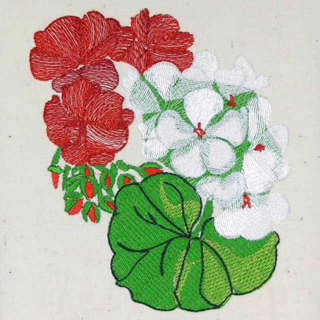 BFC0484 Seed Packet Flower Pack