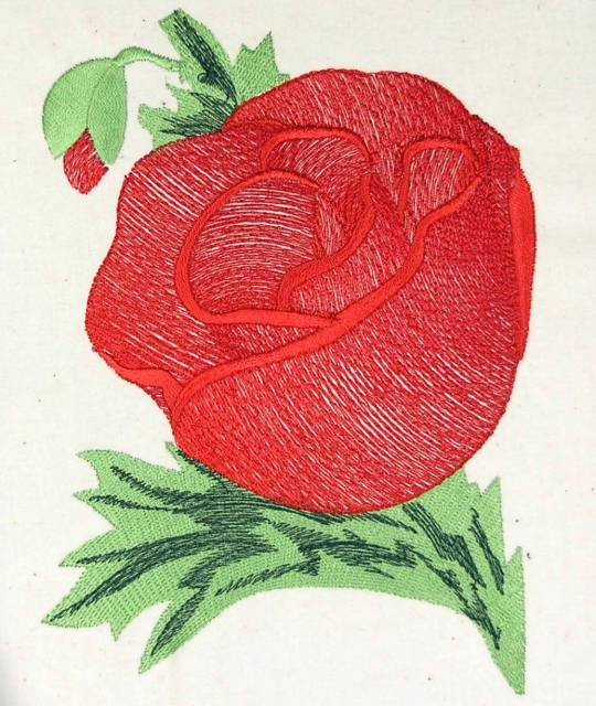 BFC0484 Seed Packet Flower Pack