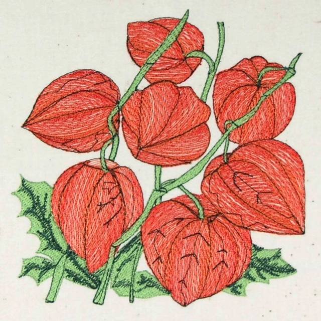 BFC0484 Seed Packet Flower Pack