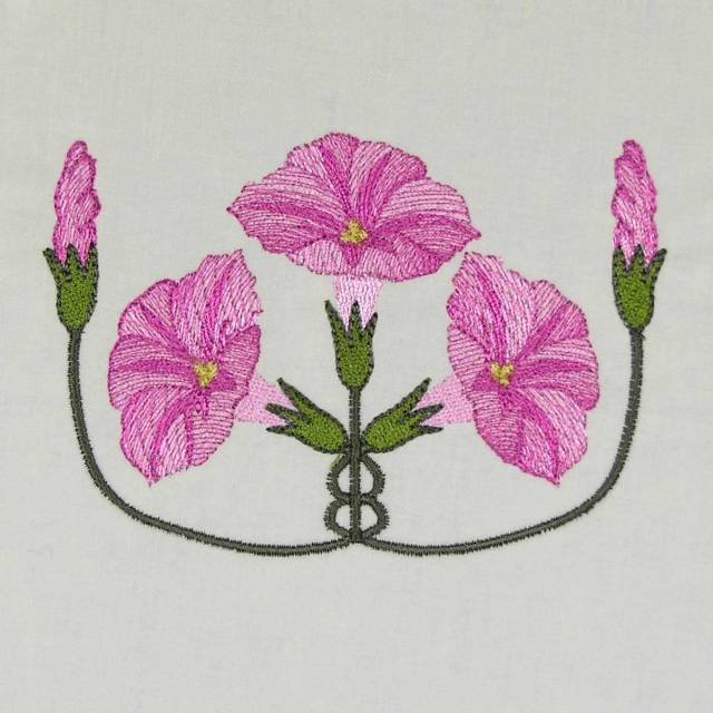 BFC0486 Morning Glory Medley