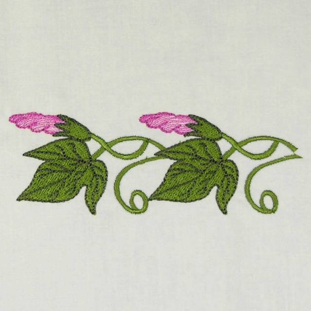 BFC0486 Morning Glory Medley