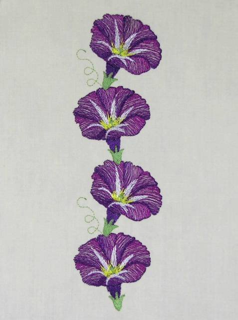 BFC0486 Morning Glory Medley