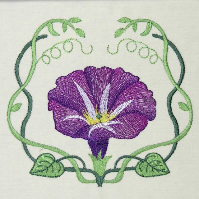 BFC0486 Morning Glory Medley