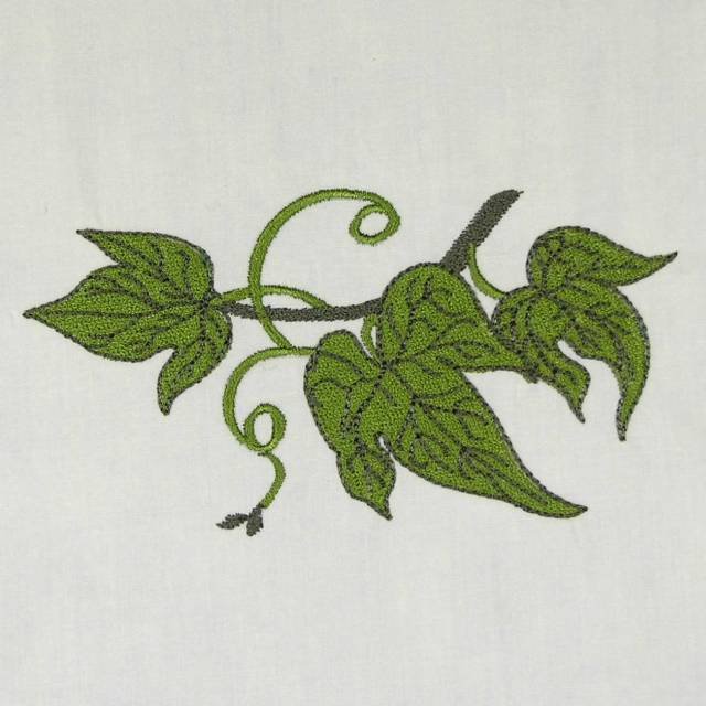 BFC0486 Morning Glory Medley