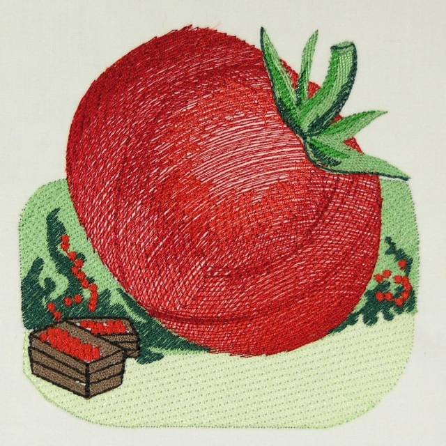 BFC0488 Seed Packets Veggie Pack