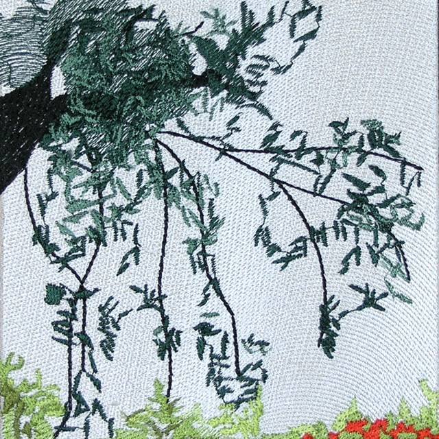 BFC0496 Window - Poppy Fields