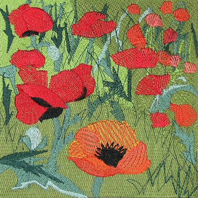 BFC0496 Window - Poppy Fields
