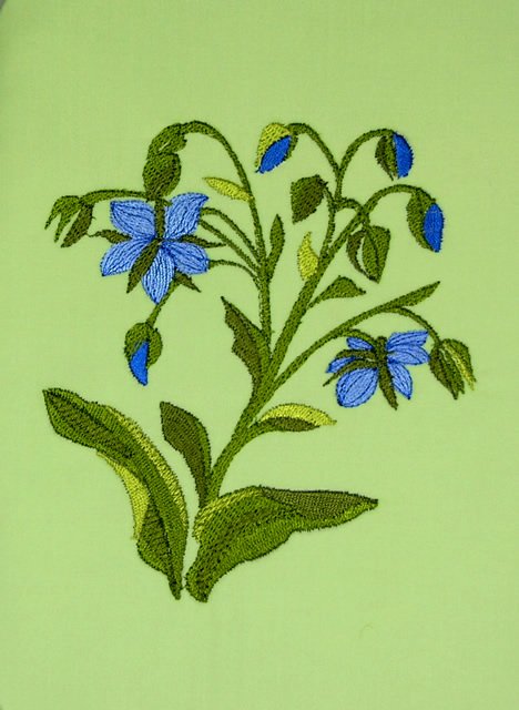 BFC0498 Seed Packet Herb Pack