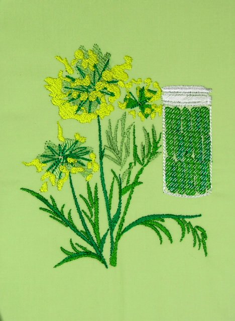 BFC0498 Seed Packet Herb Pack