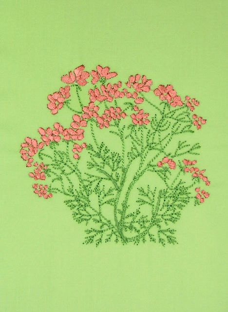 BFC0498 Seed Packet Herb Pack