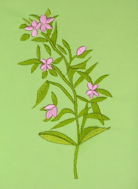 BFC0498 Seed Packet Herb Pack