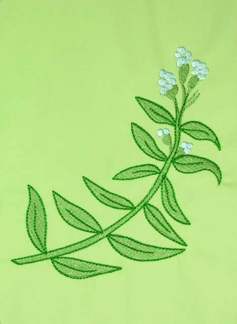 BFC0498 Seed Packet Herb Pack