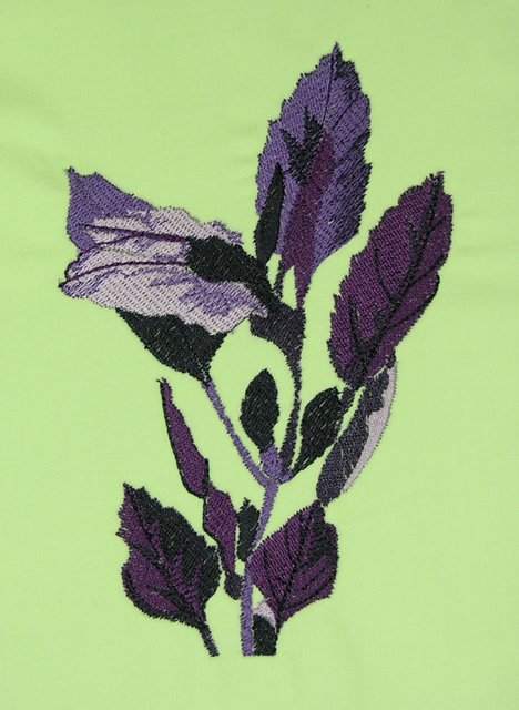 BFC0498 Seed Packet Herb Pack
