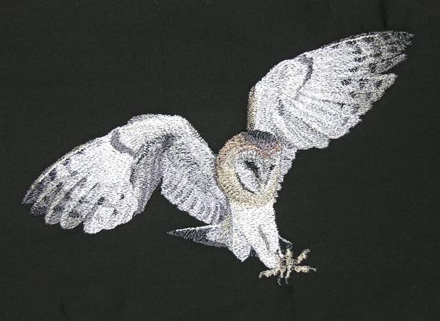 BFC0504 Owls