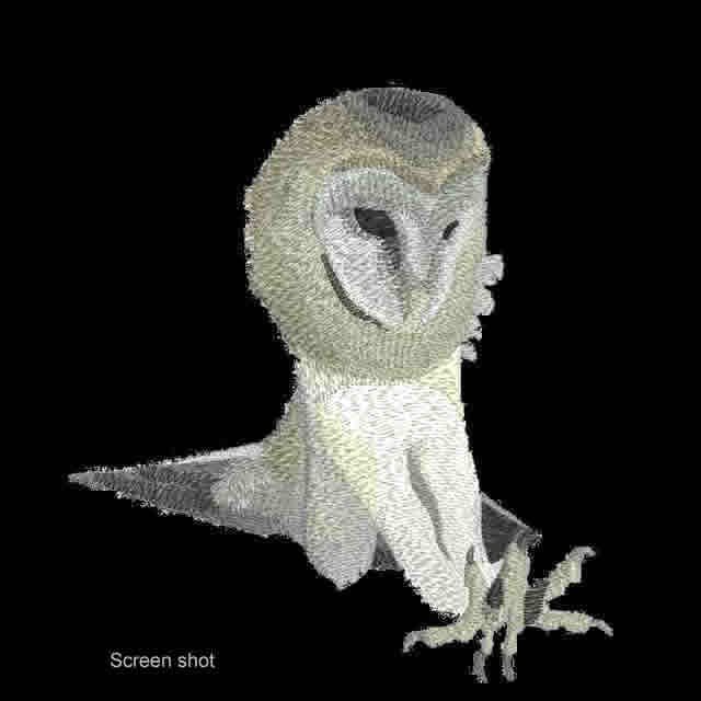 BFC0504 Owls